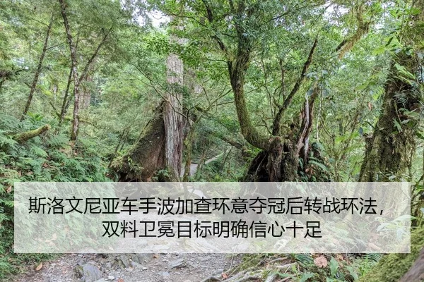 si-luo-wen-ni-ya-che-shou-bo-jia-cha-huan-yi-duo-guan-hou-zhuan-zhan-huan-fa-shuang-liao-wei-mian-mu-biao-ming-que-xin-2-438.jpg