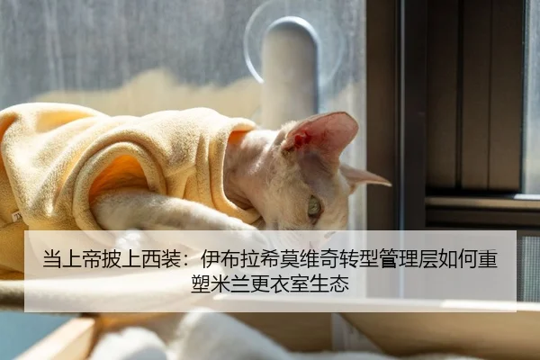 当上帝披上西装：伊布拉希莫维奇转型管理层如何重塑米兰更衣室生态